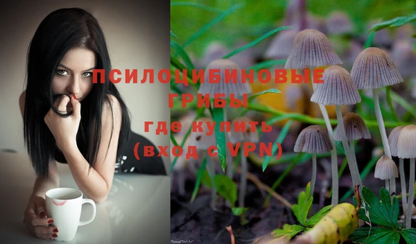 мяу мяу мука Абдулино