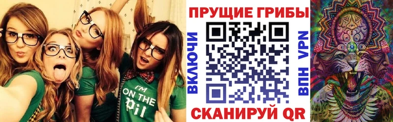 МЕГА рабочий сайт  где продают наркотики  Весьегонск  Галлюциногенные грибы Magic Shrooms 